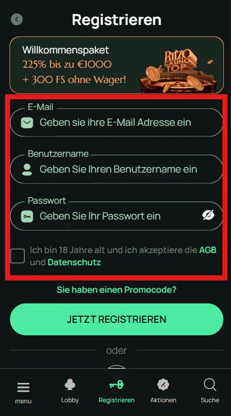 Ritzo Daten Eingaben
