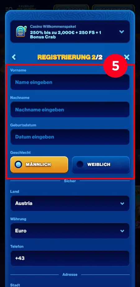 Daten eingeben bei Spins of Glory