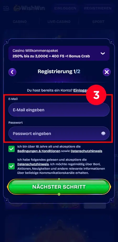 E-Mail und Passwort angeben WishWin Loginfelder