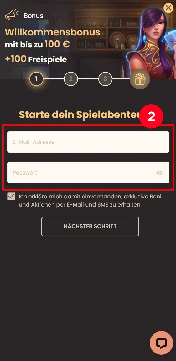 Eingabefelder für E-Mail und Passwort