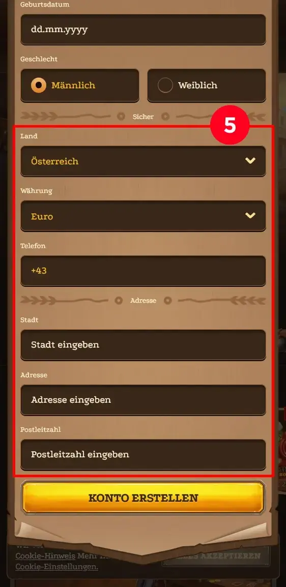 Lizaro Anmeldung Adressangaben