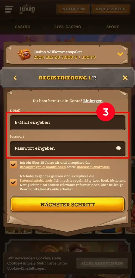 Lizaro Anmeldung Zugangsdaten