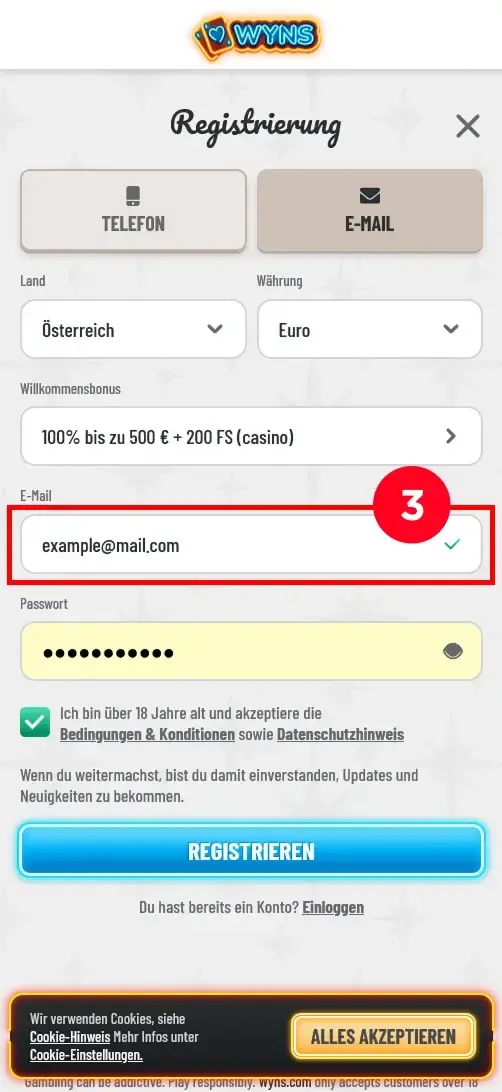 E-Mail-Feld bei Wyns ausfüllen