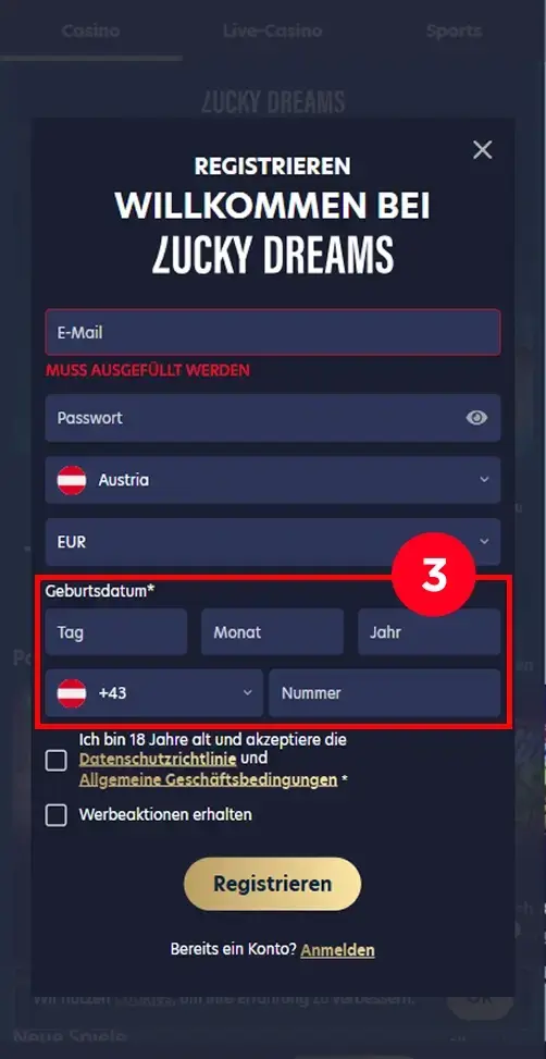 Persönliche Daten bei Lucky Dreams