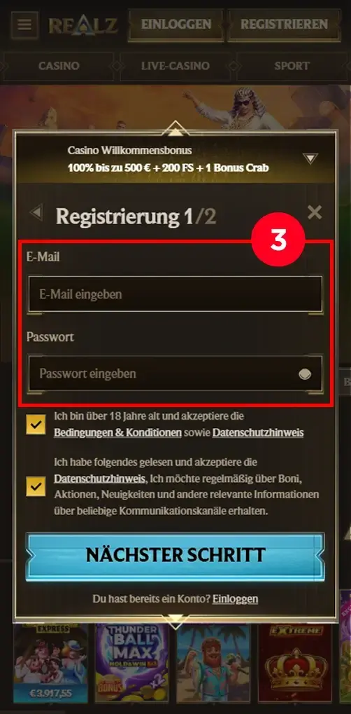 E Mail und Passwort im Realz Casino Registrierungsformular eingeben