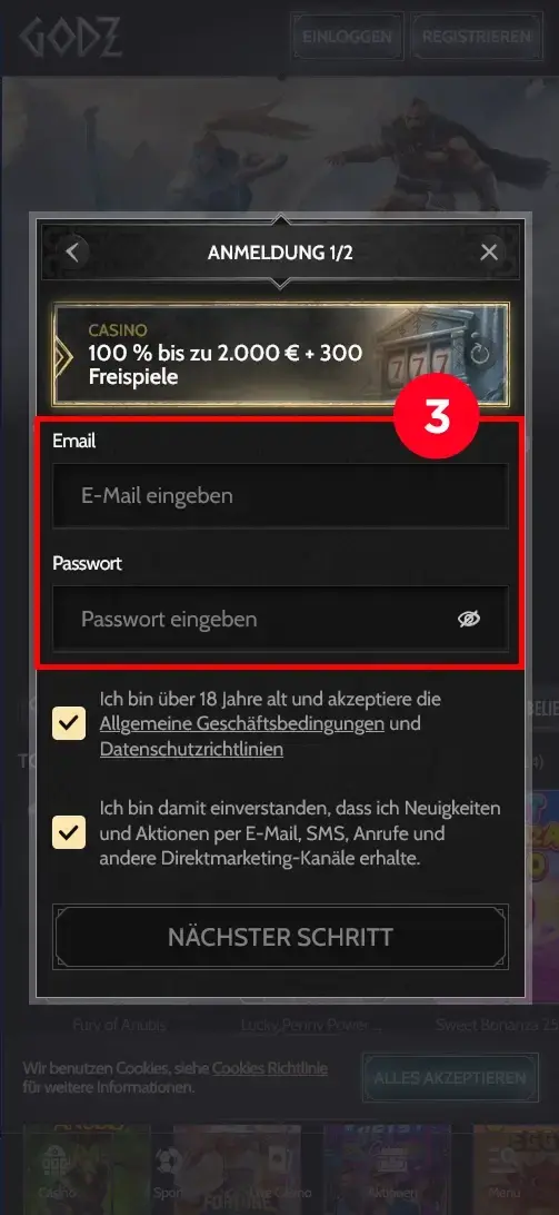 Godz Casino Registrierung E-Mail und Passwort eingeben