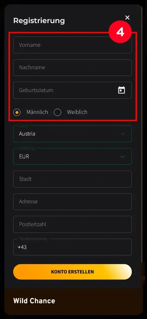 Wild Chance Casino Registrierung mit persönlichen Daten