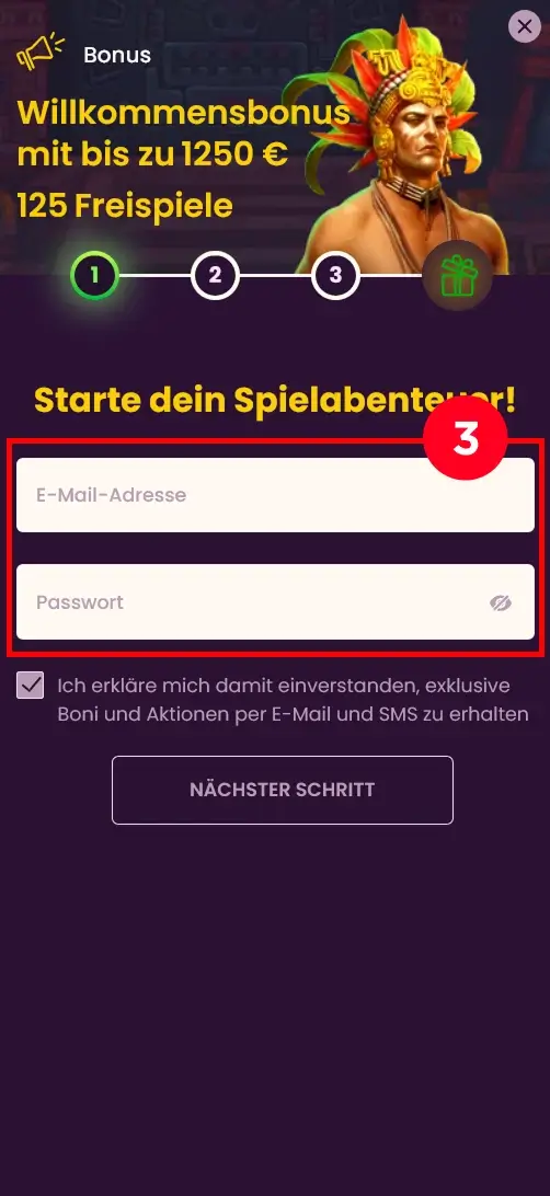 E-Mail und Passwort eingeben